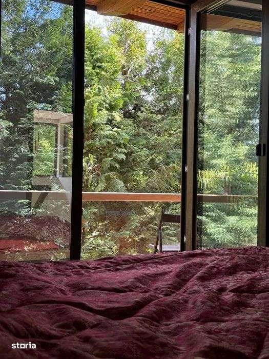 Vila de Lux, in Faget - Imagine principală: 5/8