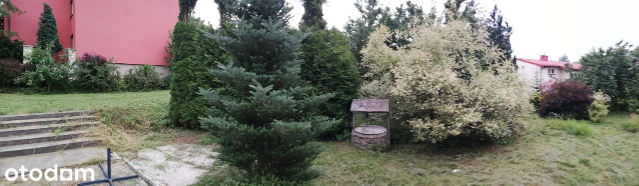 Dom z potencjałem na Jurze, Bzów, Zawiercie - Pełny obrazek: 5/18