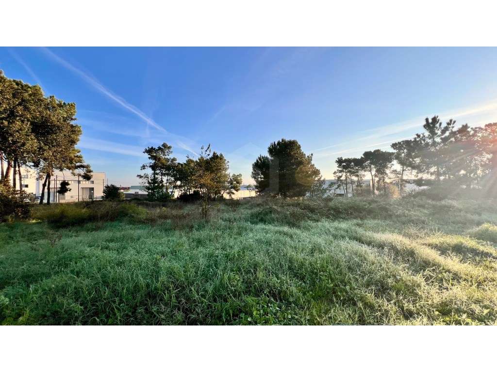 Luxuosa propriedade entre Grândola e Comporta, com 24 hectares-47