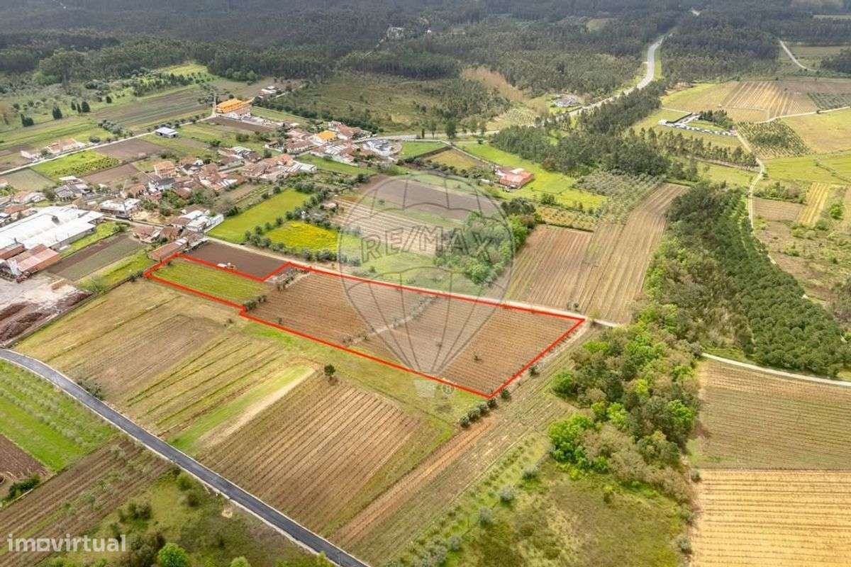 Terreno  para venda - Grande imagem: 2/16