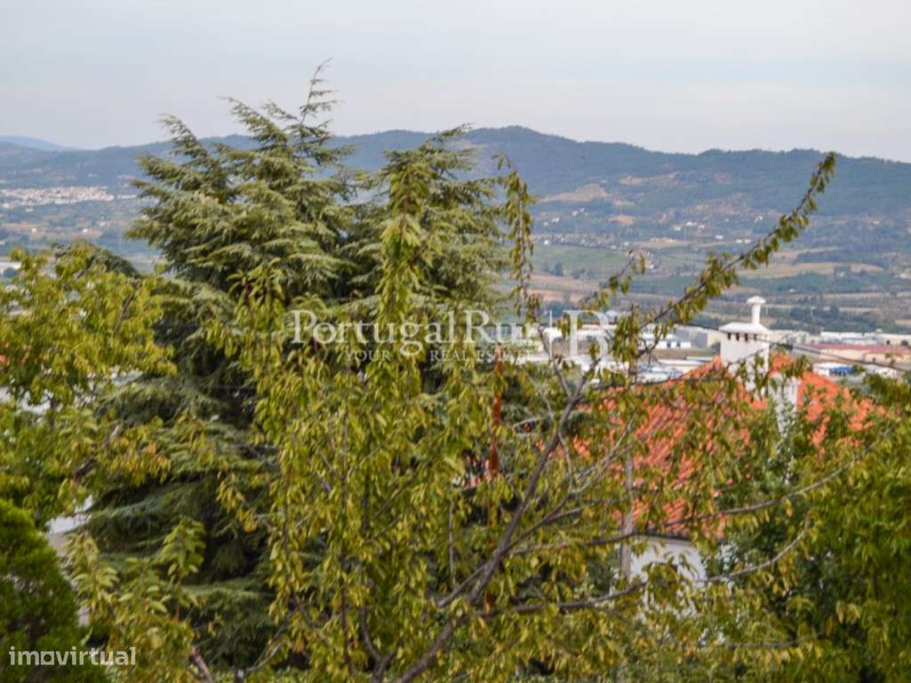 Lote na zona de Covilhã - Grande imagem: 5/13