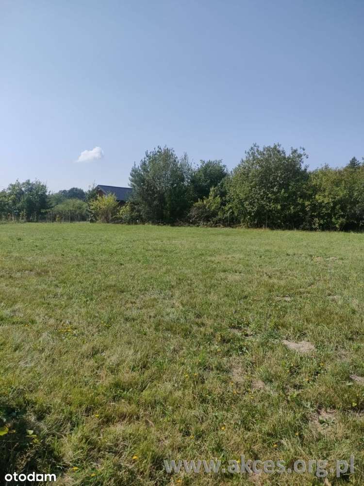 Jeziora g. Pniewy dzialka budowlana 2383m2 - Pełny obrazek: 4/8