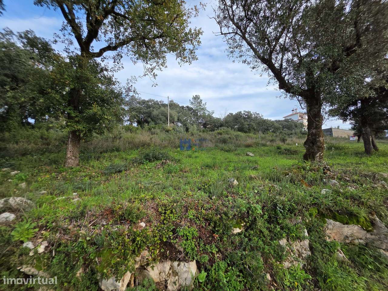 Lotes de terreno em Minde-14