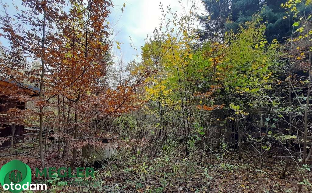 Działka w otulinie lasu-4