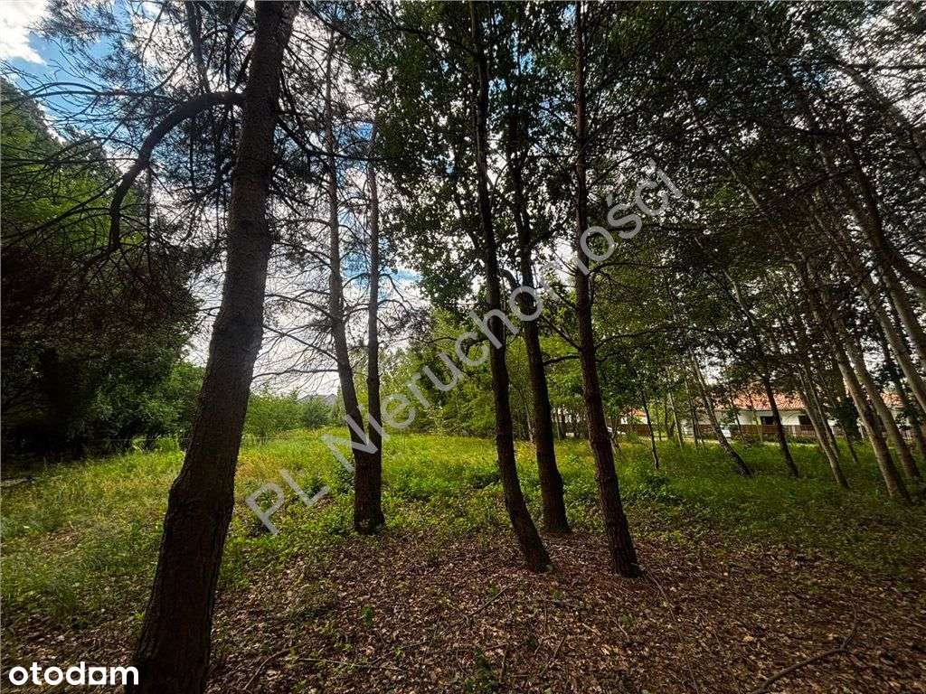 Działka budowlana przy lesie-5
