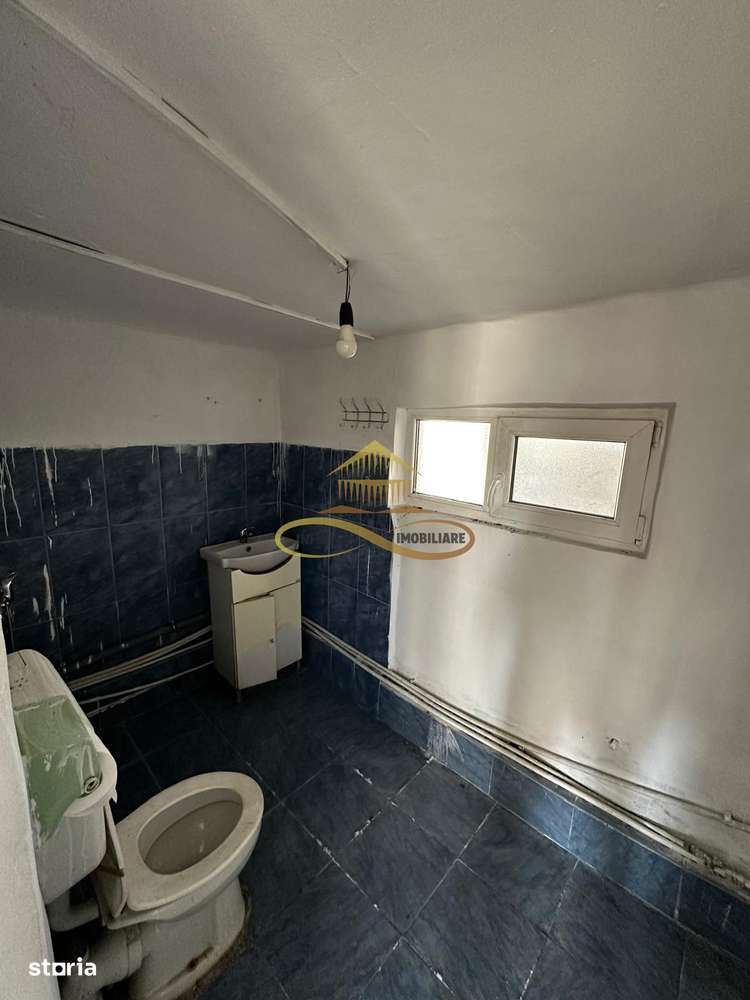 Casa batraneasca cu 800 mp teren de vanzare in Tache / Bacau-17