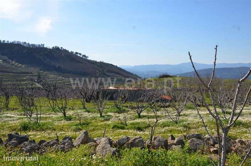 Quinta / Fundão, Aldeia de Joanes - Grande imagem: 2/20