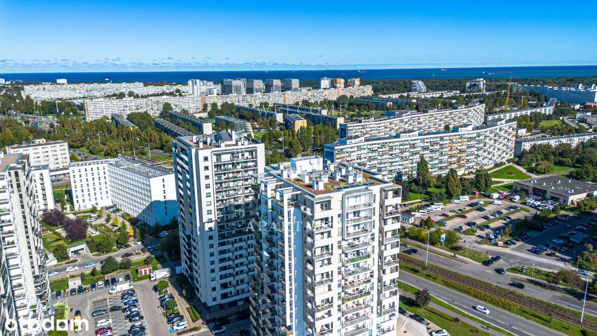 Albatross | Zysk i Ogród!-8