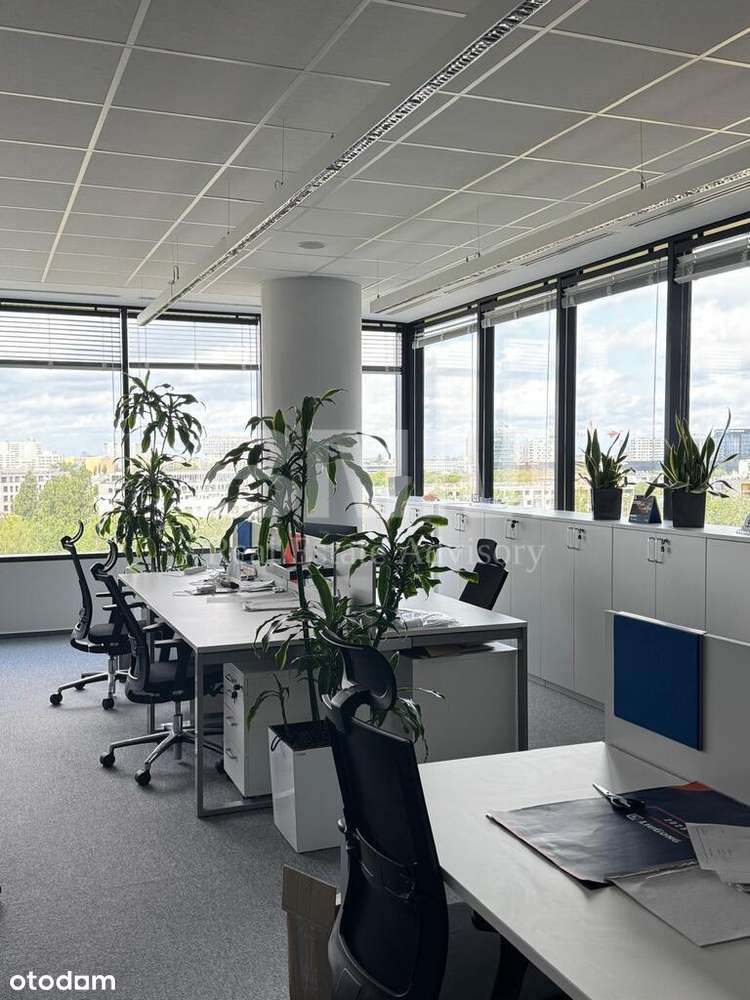 W pełni urządzone biuro z krótką umową najmu - Pełny obrazek: 3/15