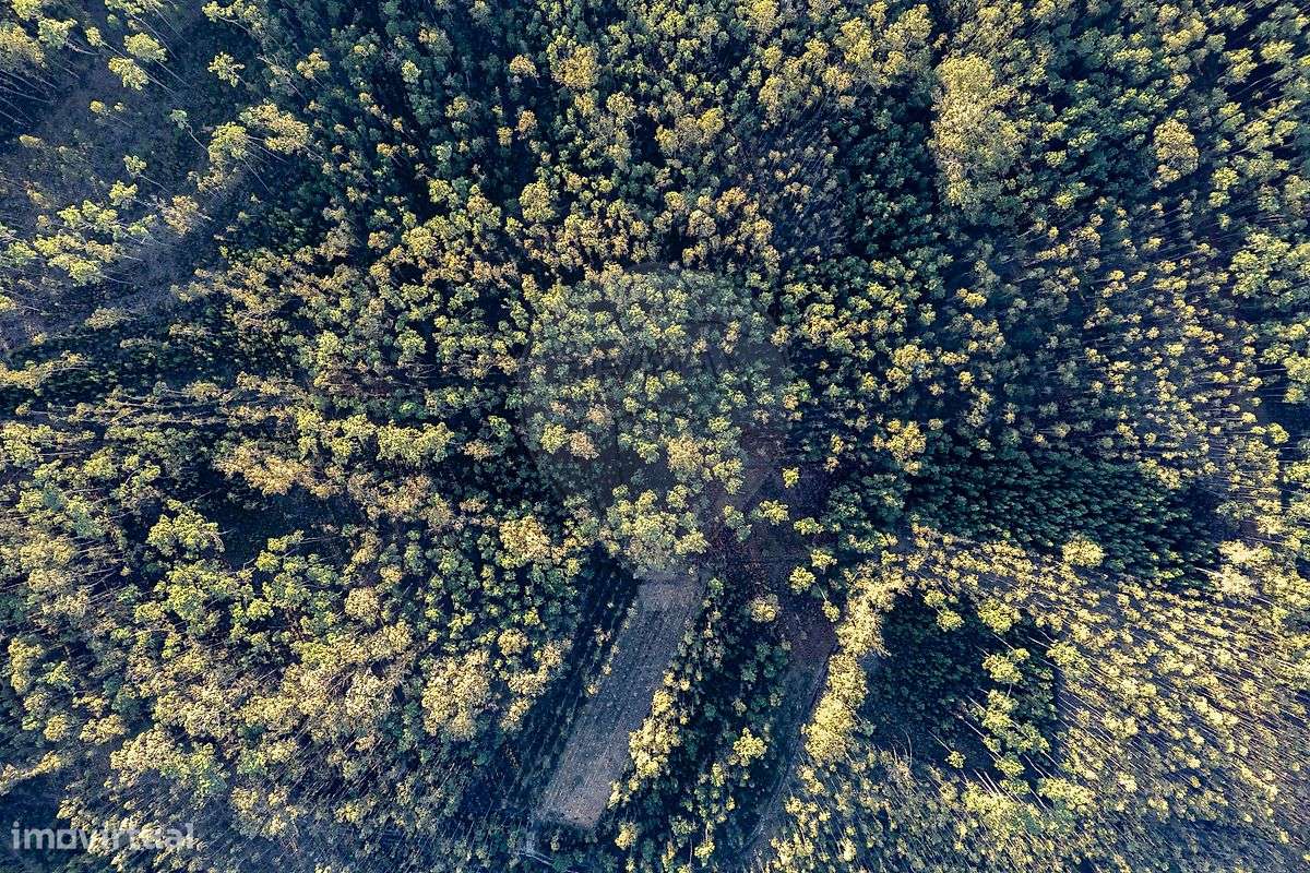 Terreno  para venda - Grande imagem: 4/7