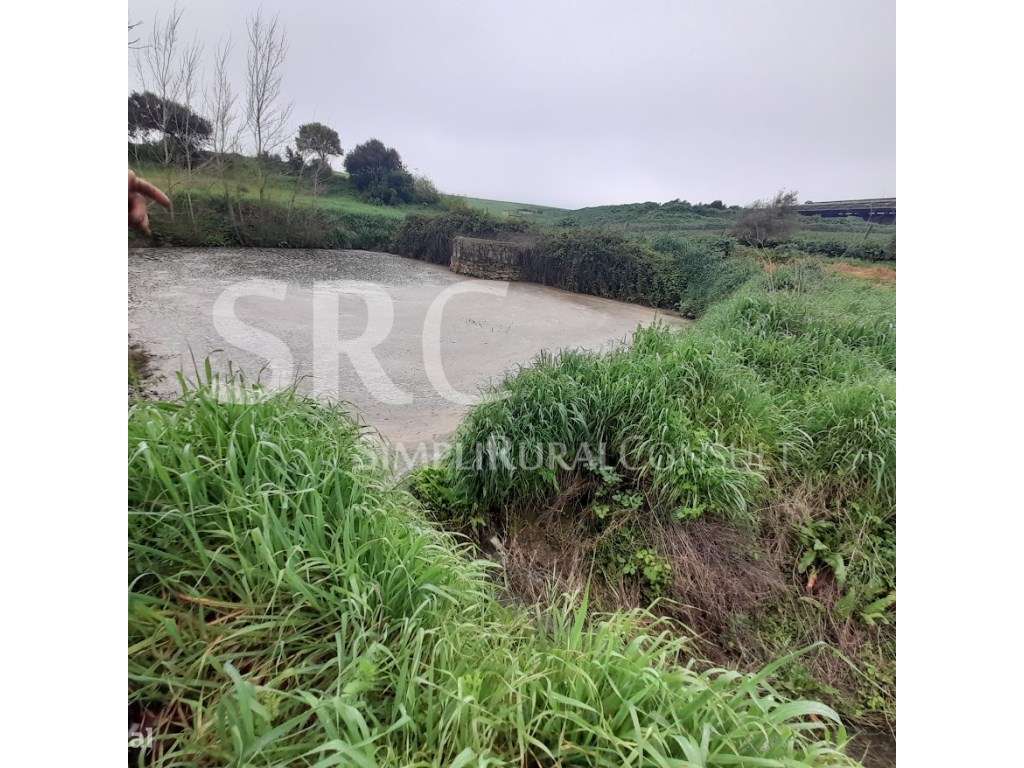 Herdade do olival das Barreiras-5