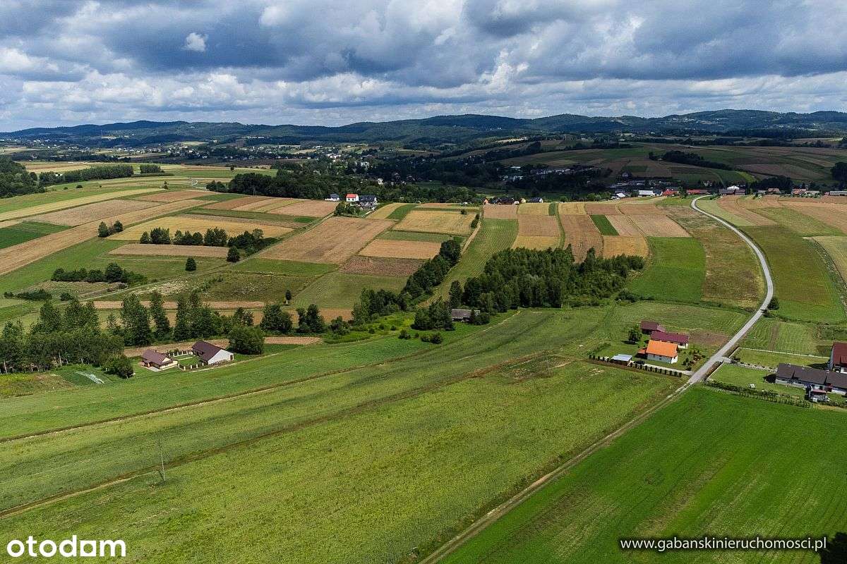 DZIAŁKA BUDOWLANA 27 AR W OLSZYNACH gm. RZEPIENNIK - Pełny obrazek: 3/12