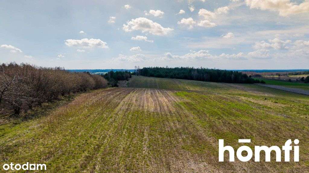 Pięknie położona działka budowlana przy Puszczy - Pełny obrazek: 5/8