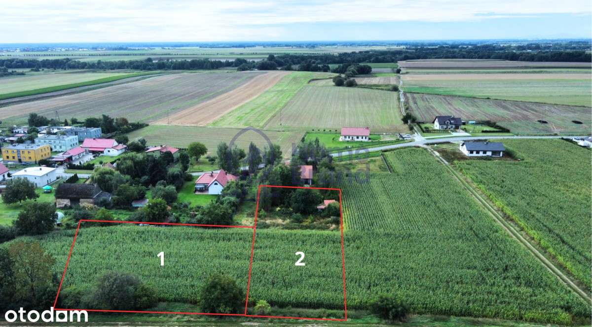 Prąd na działce, tylko 10 minut od Oleśnicy-0