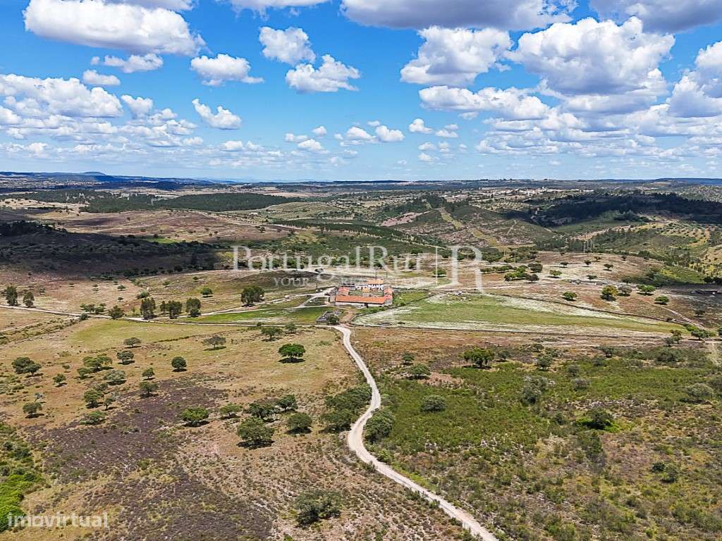 Herdade com 195 ha e 1.900 m2 de área urbana à beira do Tejo - Beir... - Grande imagem: 3/29