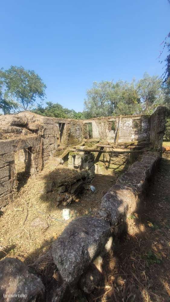 Quintinha - Anissó - Grande imagem: 3/34