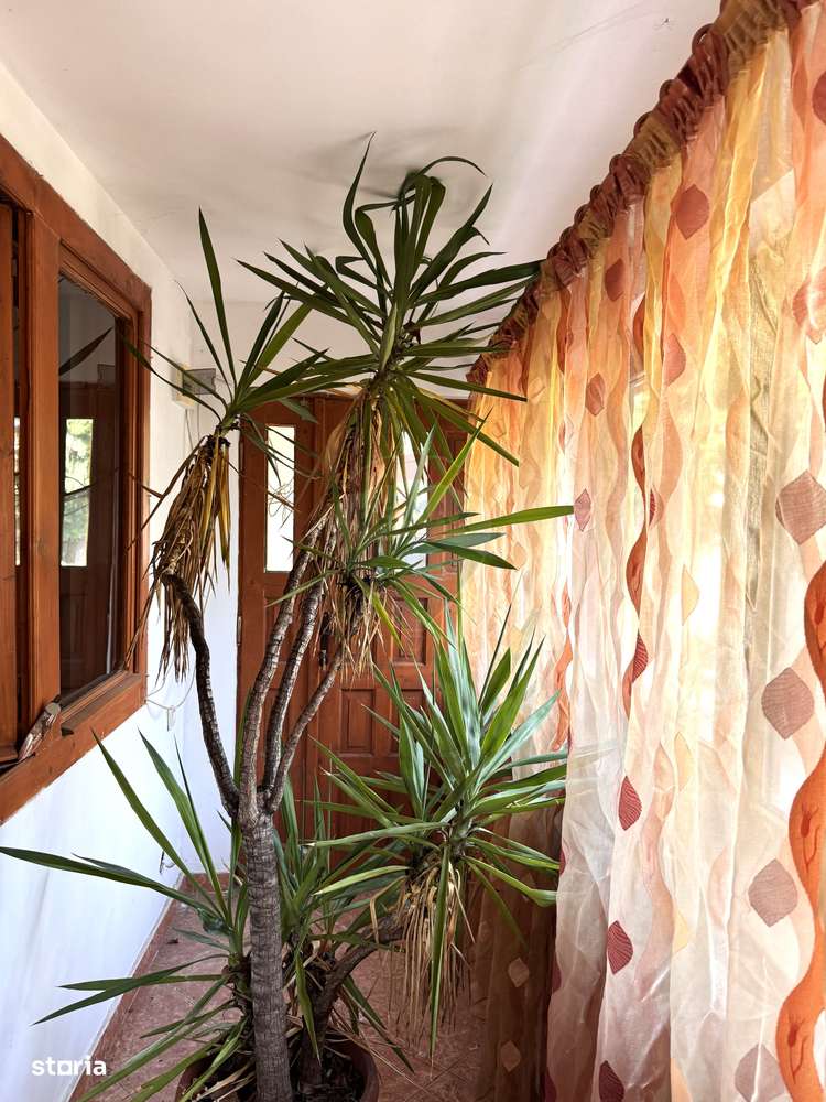 Casa  P+1 cu 6 camere de vanzare in Clinceni - Imagine principală: 4/18