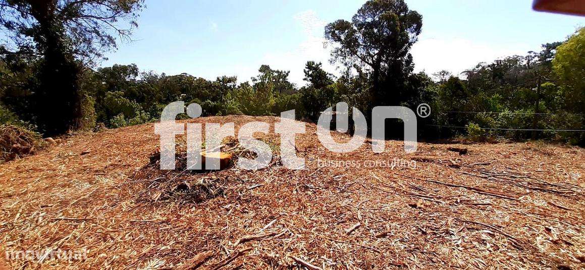 Terreno Urbano  para Construção - Próximo da Praia– Oportunidade-9