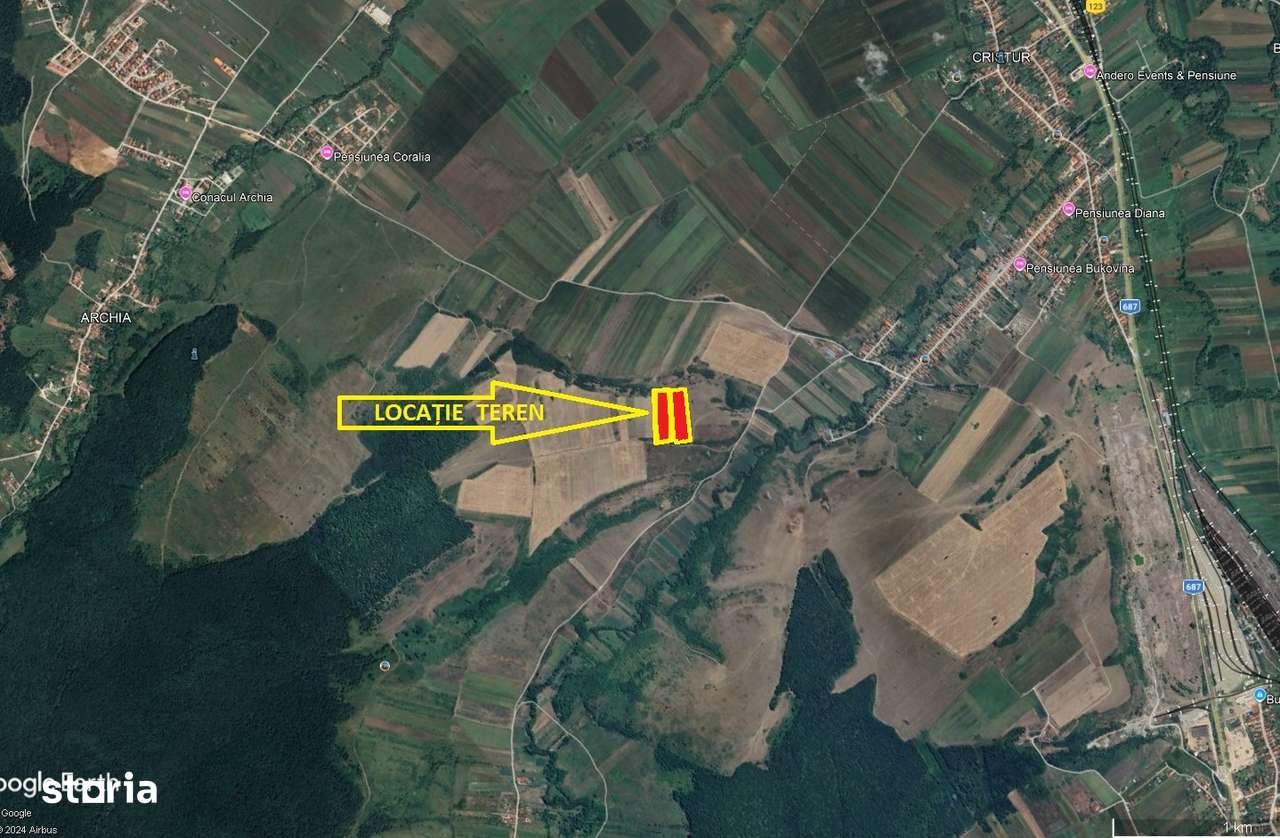 Teren extravilan 17.000 m Deva-Cristur - Imagine principală: 4/5