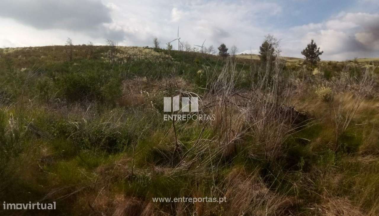 Venda Terreno com 6400m2, Gestaçô, Baião - Grande imagem: 3/17