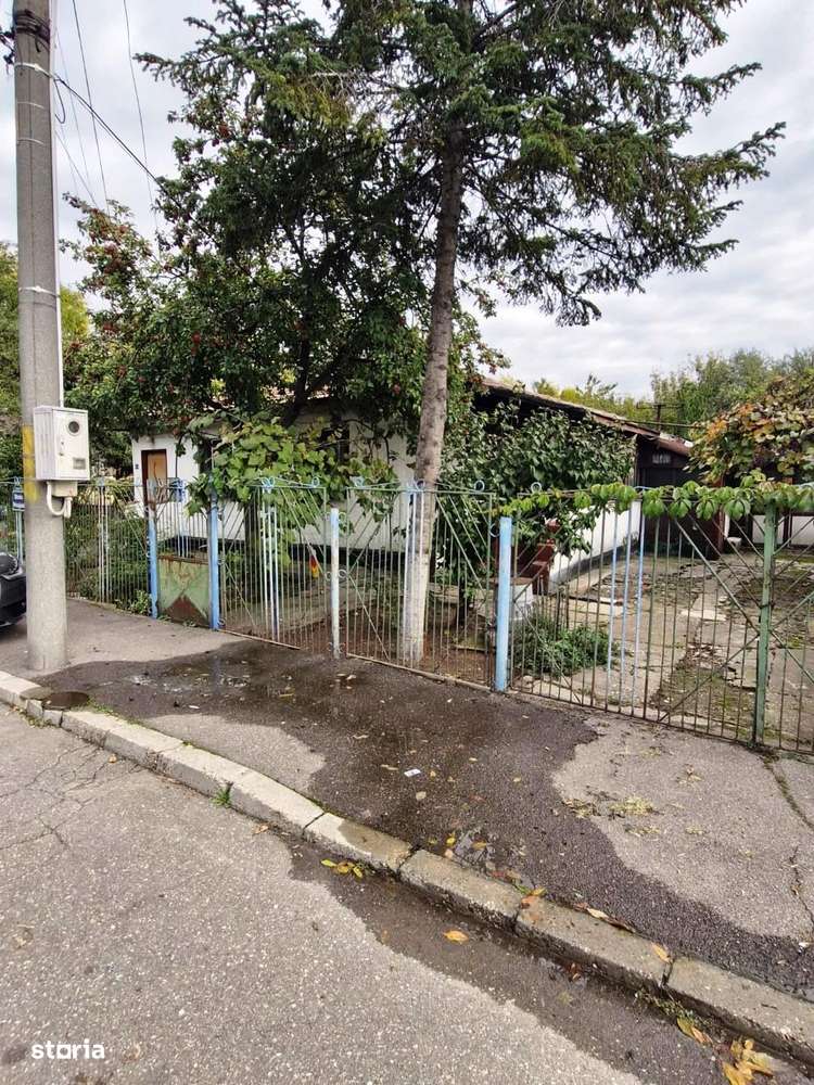 Colentina-Peisajului-5