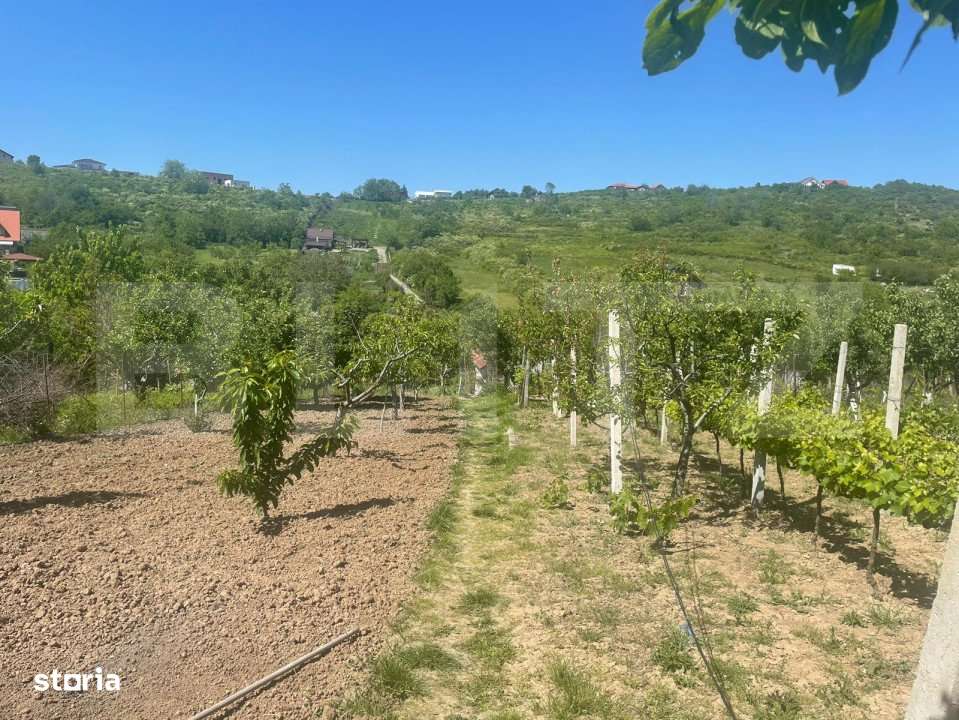 Proprietate cu casa si teren in Oradea - Imagine principală: 4/14