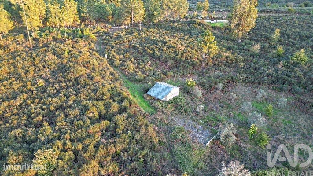 Terreno Agrícola em Paranhos - Grande imagem: 2/24