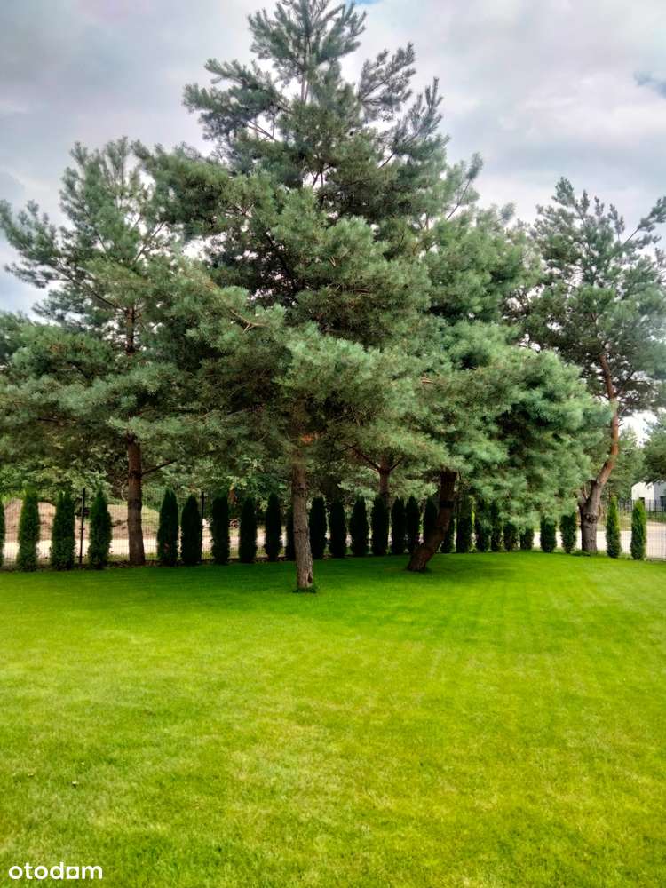 Ostatnie w ofercie  Domy w Solcu/ Konstancina-16