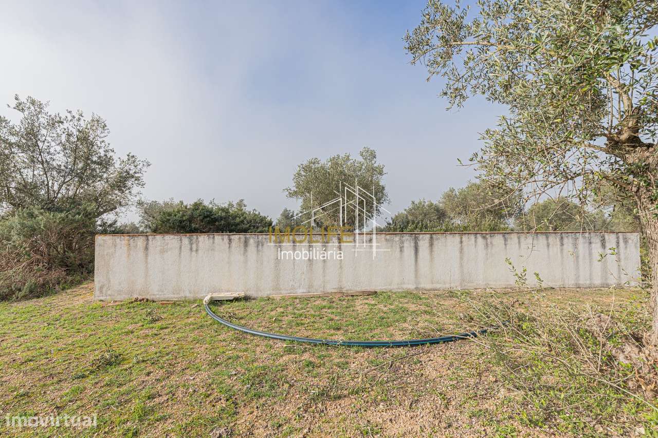 MONTINHO DO CHIADO - MALARRANHA - PAVIA-56