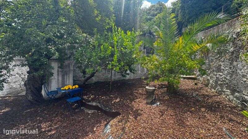 Apartamento Rua Torrinha com Jardim - Grande imagem: 4/4