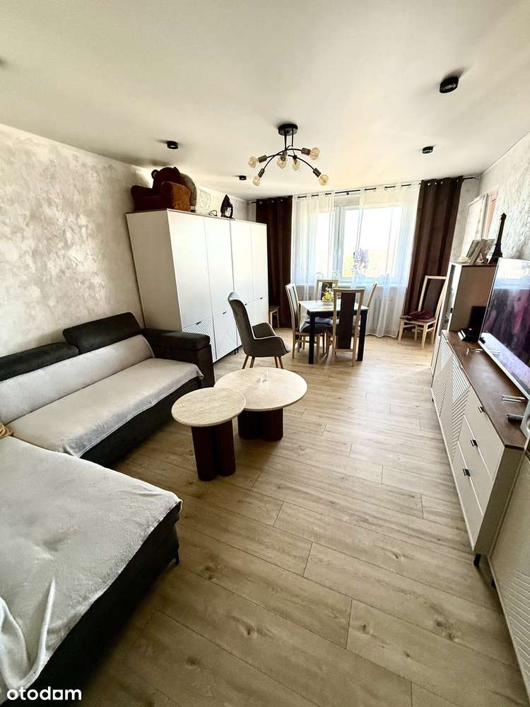 Komfortowe, 2-pokojowe mieszkanie z loggią-1