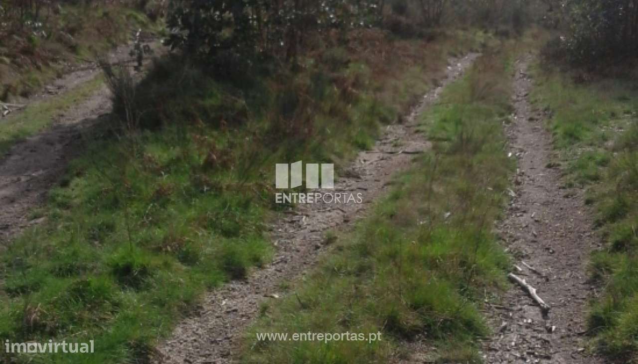 Venda Terreno, Vila Cova, Penafiel - Grande imagem: 4/16