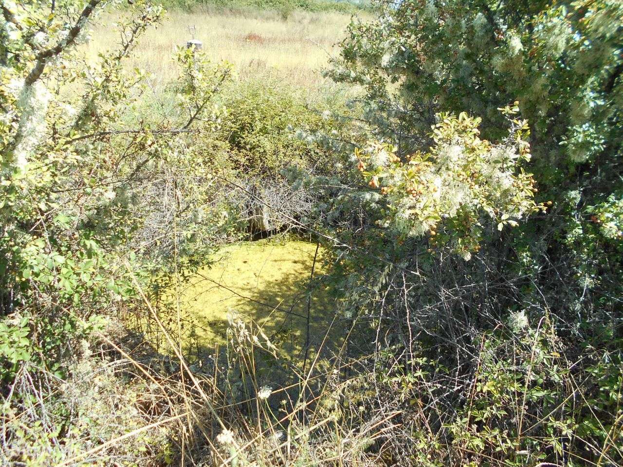 Quinta - Grande imagem: 3/9