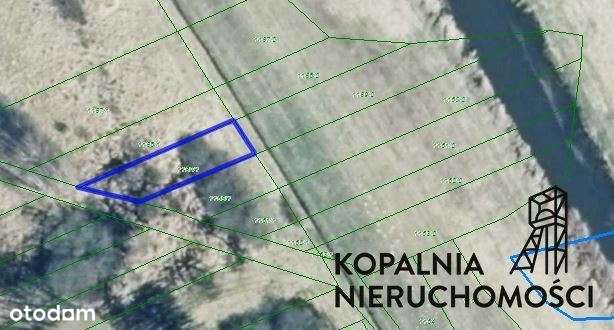 Działki rolne i tereny leśne/Wąsosz/Koniecpol! - Pełny obrazek: 3/19