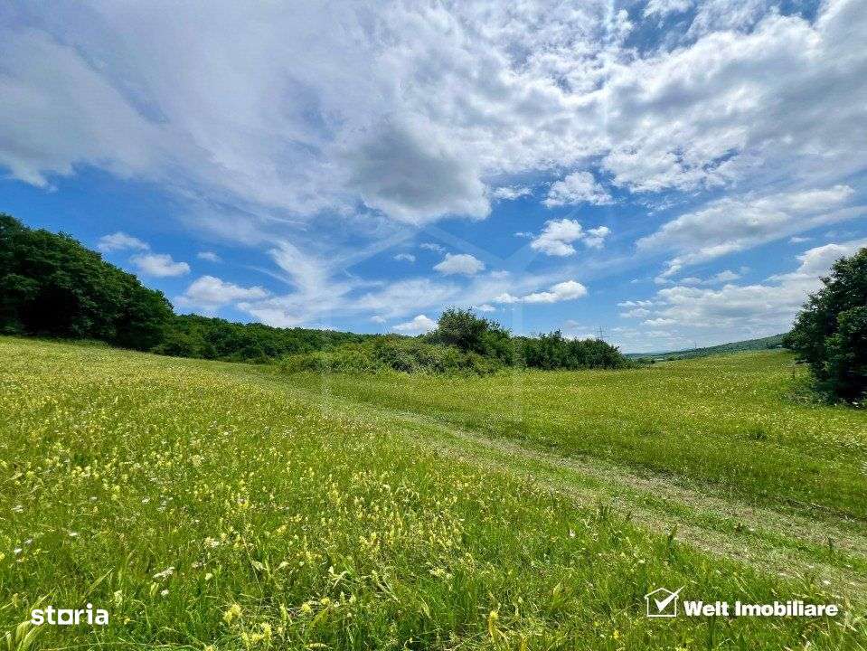 Oportunitate investitie, teren cu panorama pentru cabane - Imagine principală: 3/7