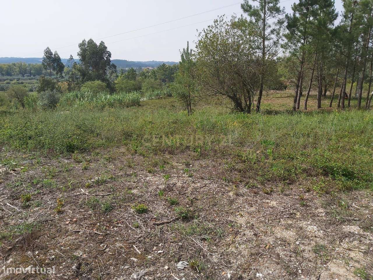 Terreno com projeto aprovado em Simões / Soure - Grande imagem: 2/9