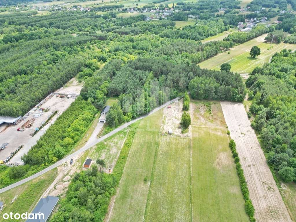 Działka w atrakcyjniej cenie - Pełny obrazek: 4/7