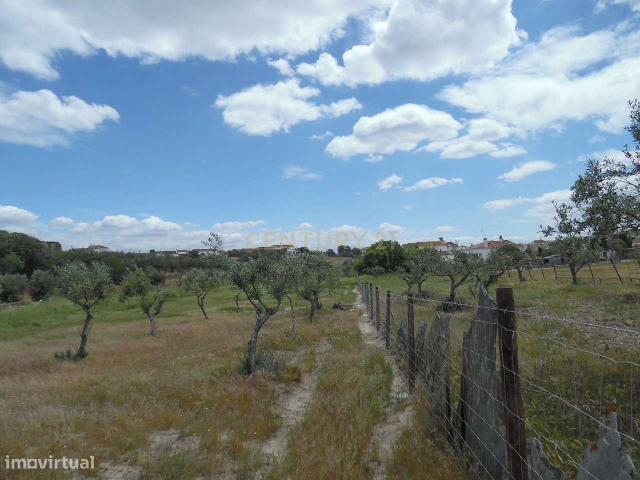 Quinta em Capelins,  Alandroal - Évora,  Oportunidade Única-43
