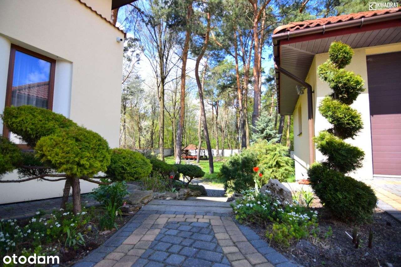 Luksusowy Dom do wynajęcia 500m2 Wólka Abramowic - Pełny obrazek: 3/19