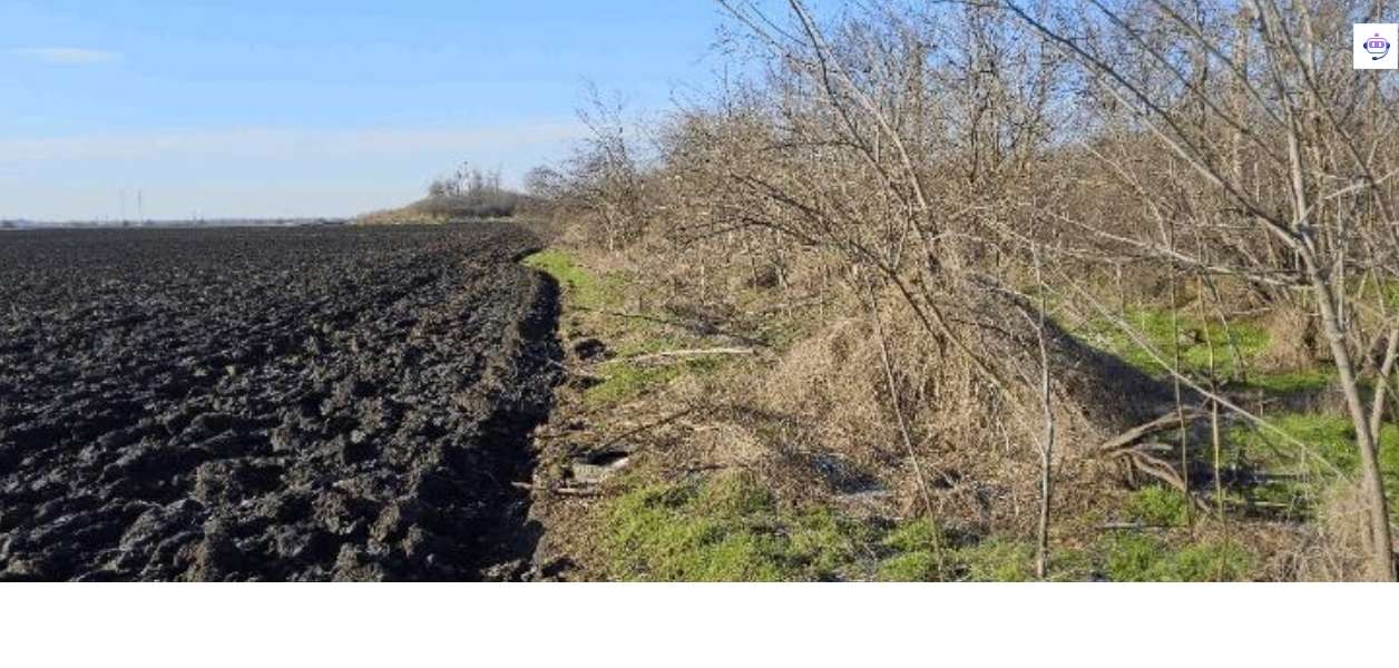 Teren Extravilan Arabil 9.999 mp:Licitație Publică– Stâlpu, Jud. Buzău-2