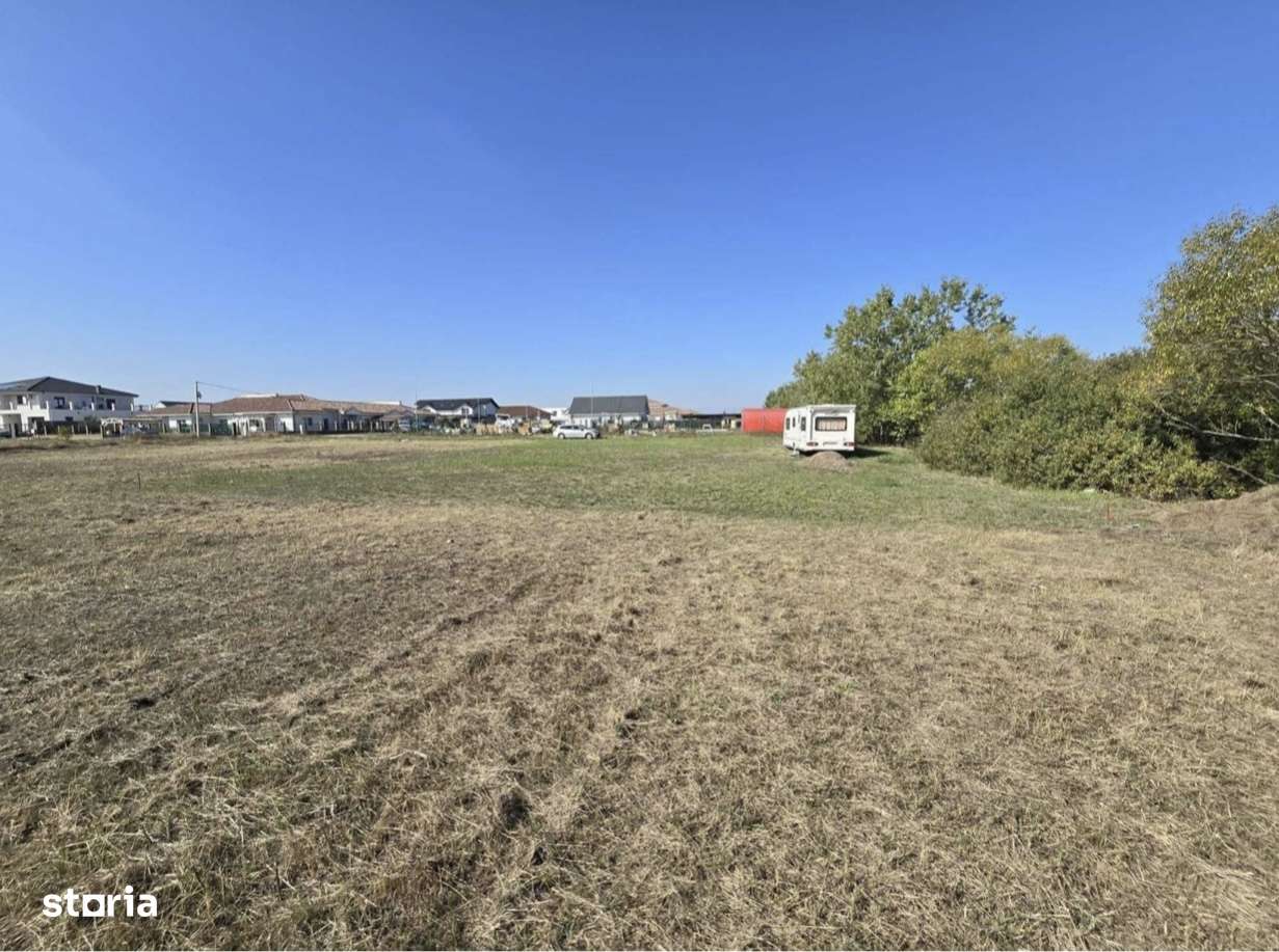 Teren intravilan, 699 mp, front 23 m, Mosnita Noua - Imagine principală: 5/5