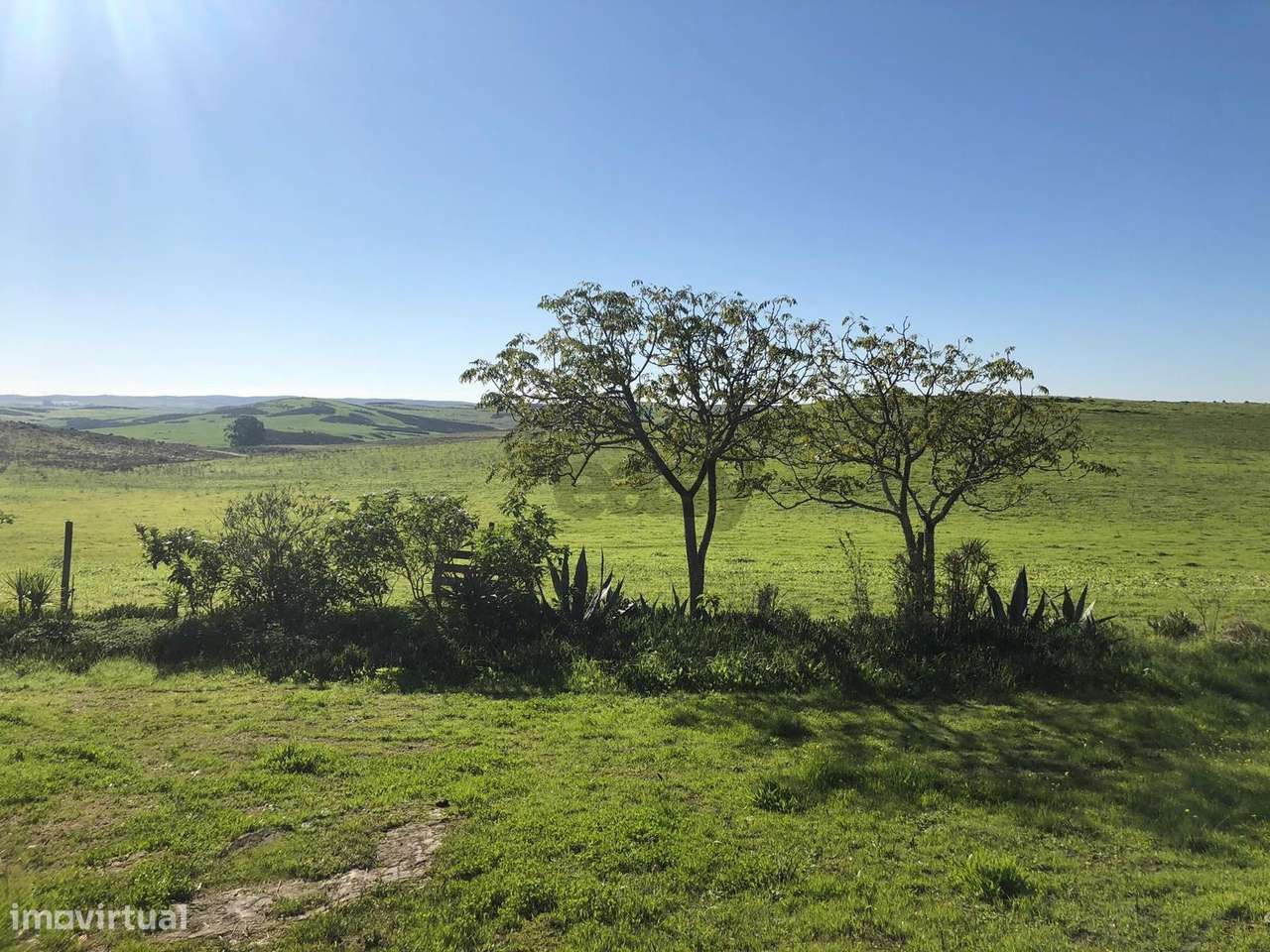 Moradia com 9 divisões para remodelar, Alcaria do Coelho - Grande imagem: 5/33