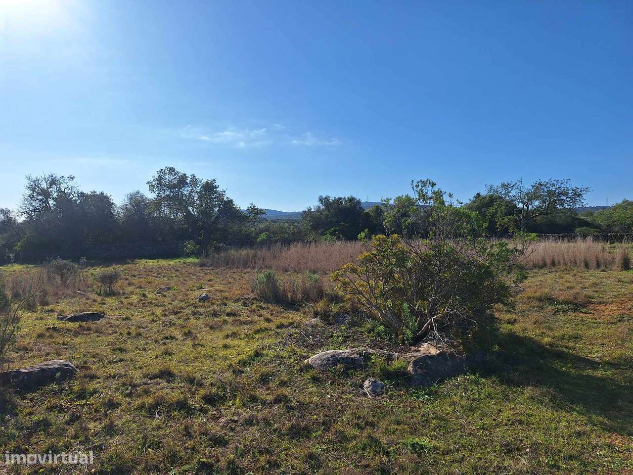 Terreno Rústico no Sítio do Laranjeiro de Santa Catarina da Fonte d...-14