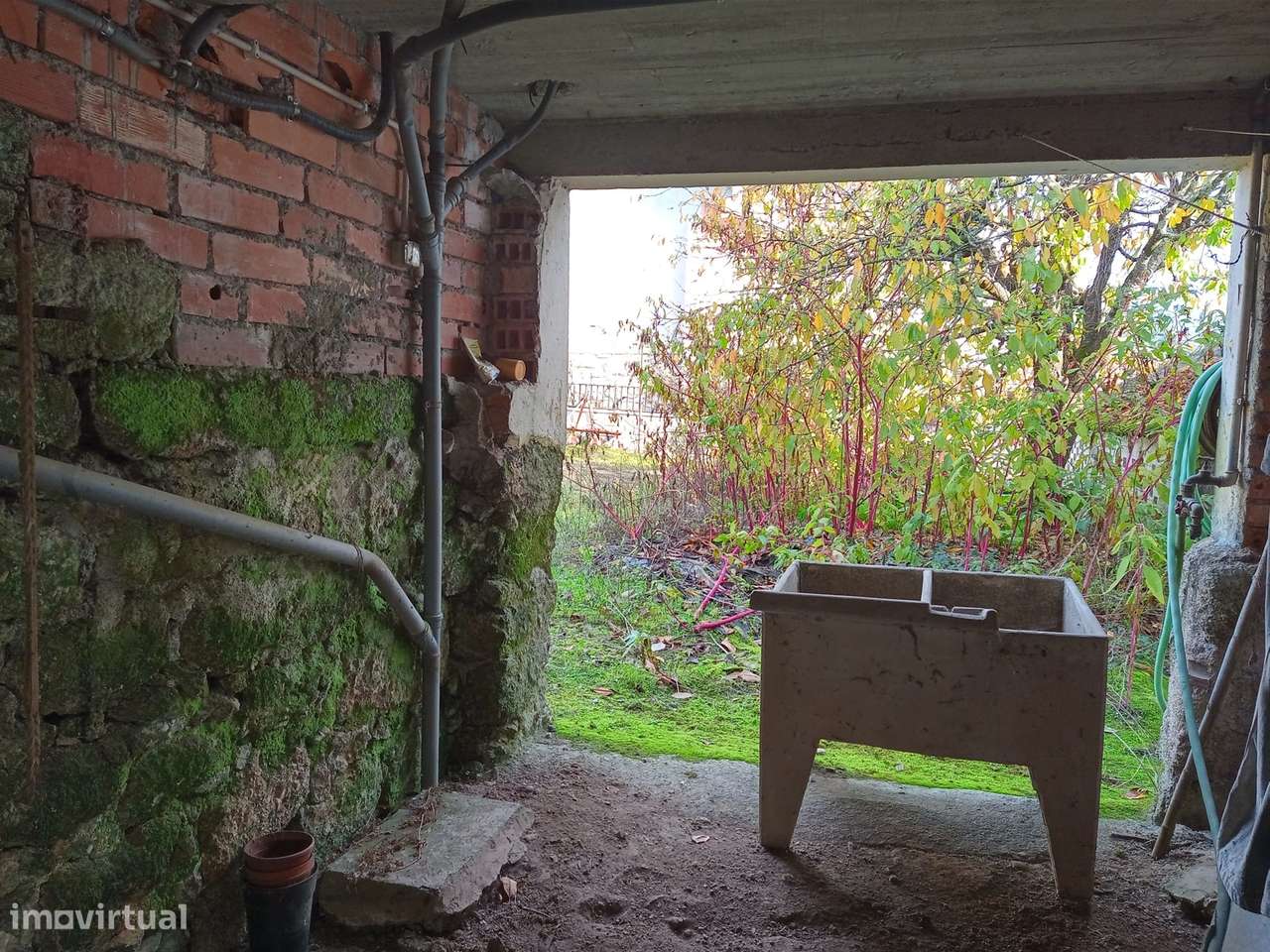 Moradia para recuperar em Rojão Grande, Santa Comba Dão-6