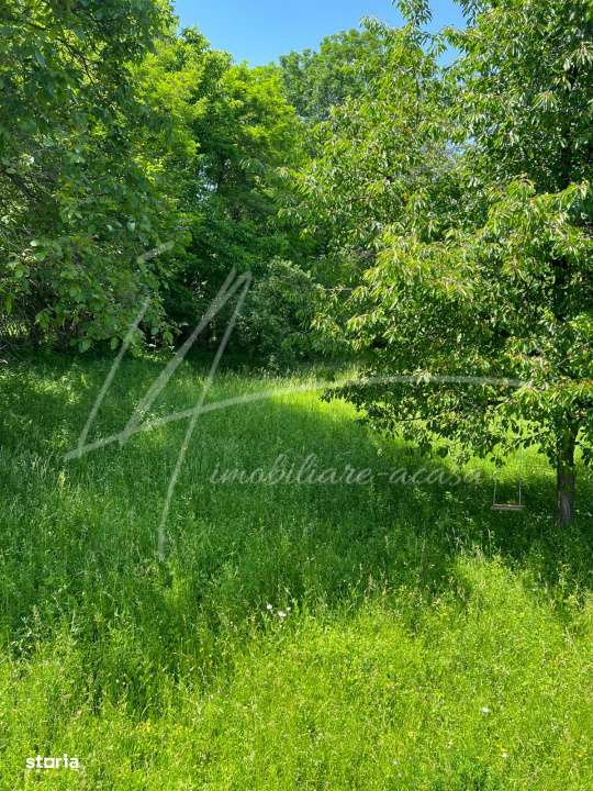 Teren intravilan 1740 mp. cu casa intabulata in PH-PROVITA DE SUS-5