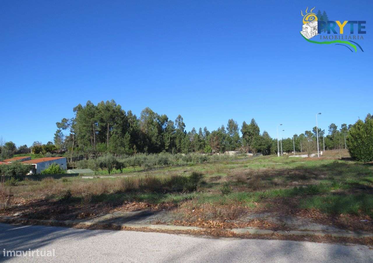 Lote para construção às portas de Cernache do Bonjardim - Grande imagem: 2/3