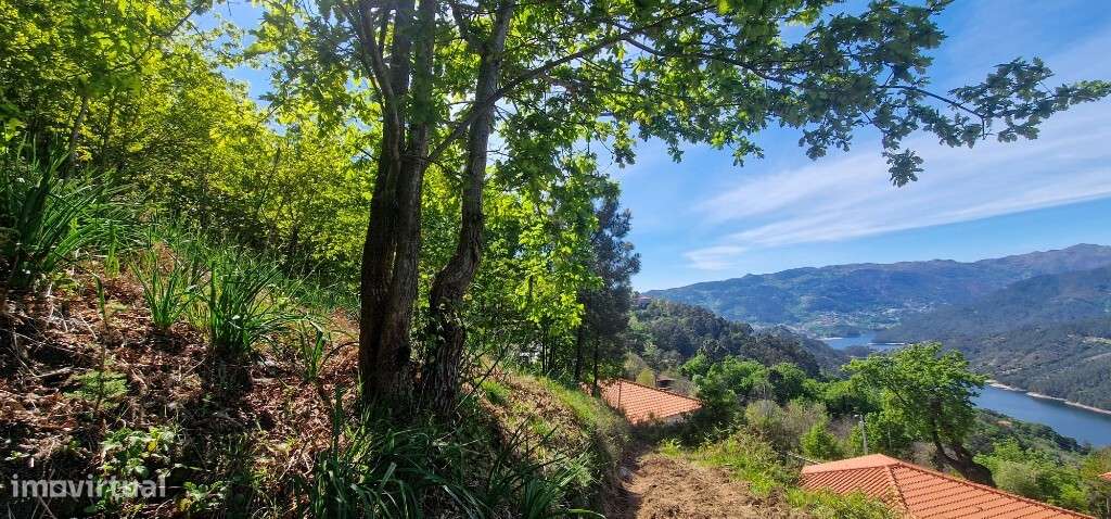 Terreno c/ projeto aprovado - Louredo-0