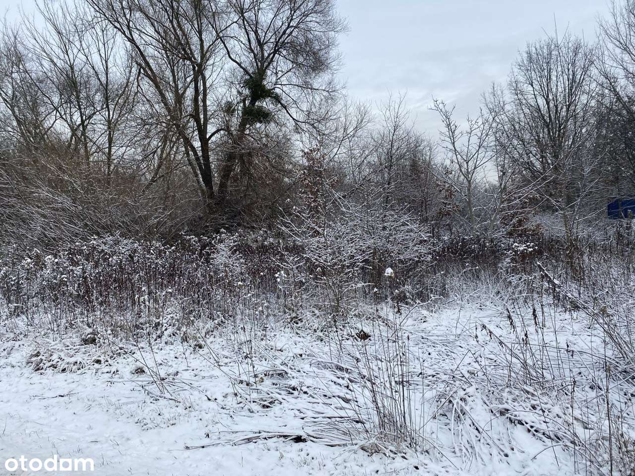Działka 4400 m² zabudowę MN blisko Warszawy - Pełny obrazek: 4/6