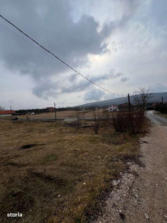 Teren Rascruci, 1250mp, front la 2 strazi 50m si 30m - Imagine principală: 5/6
