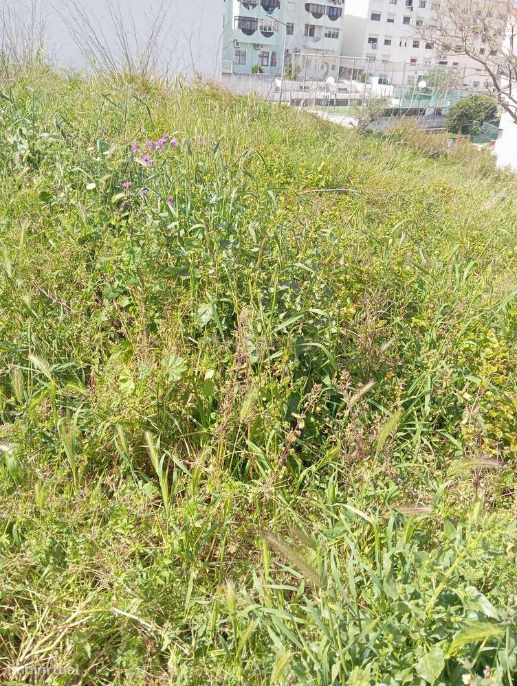 Lote de Terreno para Construção-1